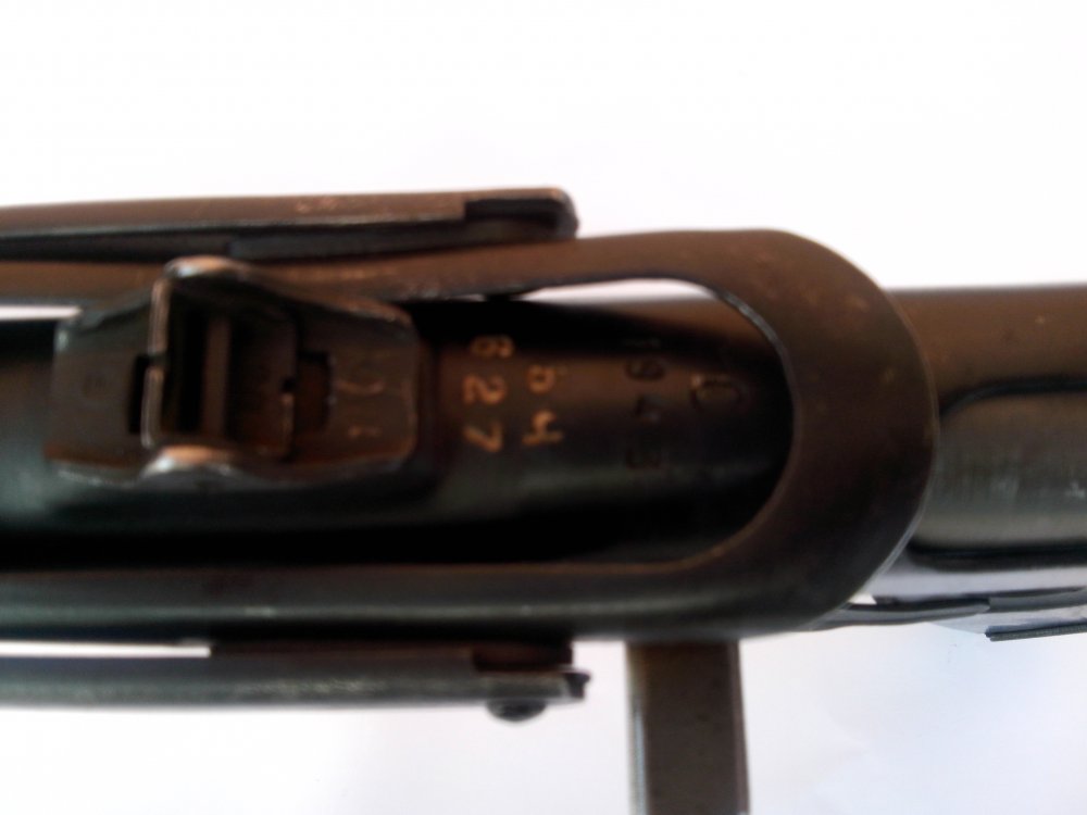 CAM00078.jpg