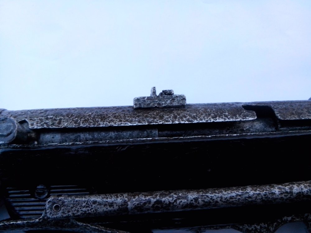 CAM00135.jpg