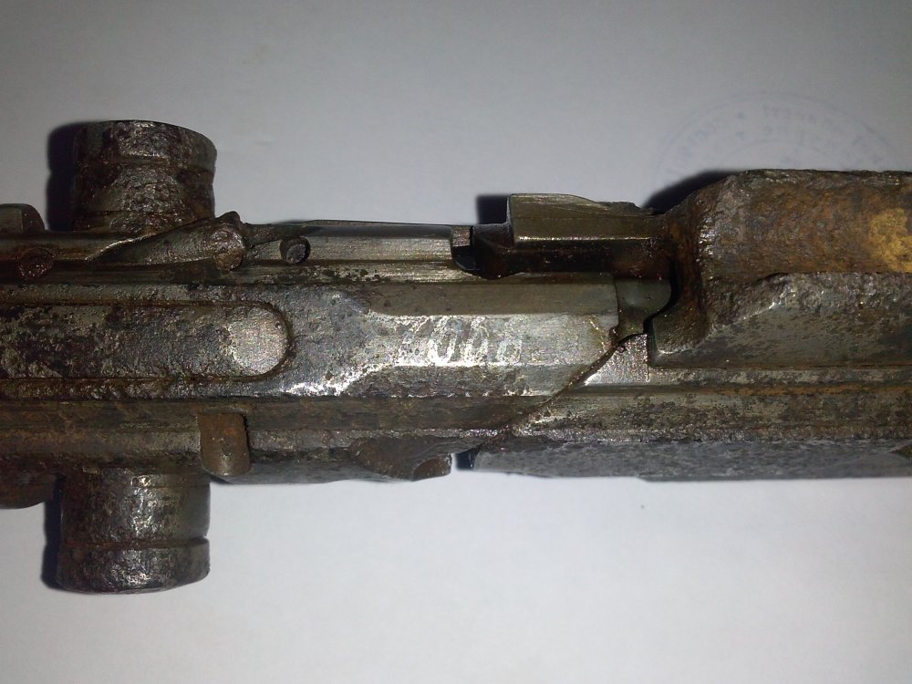 CAM00226.jpg