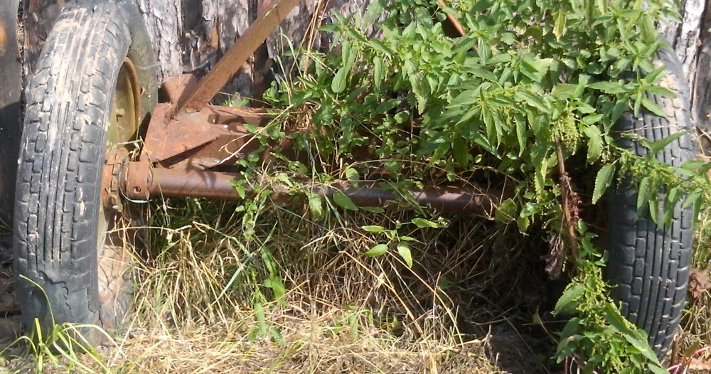 CAM00289.jpg