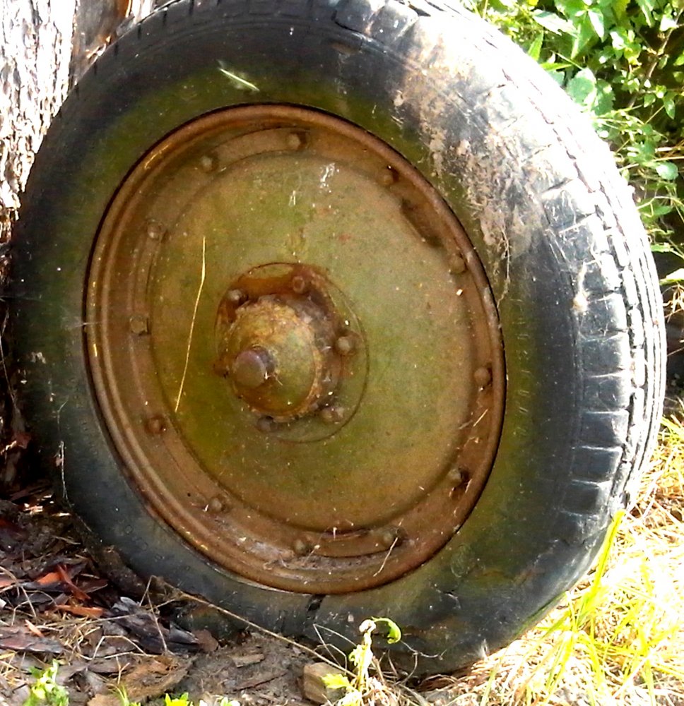 CAM00290.jpg
