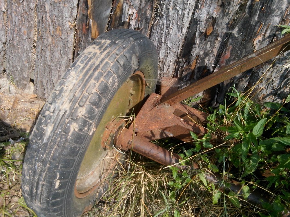 CAM00294.jpg