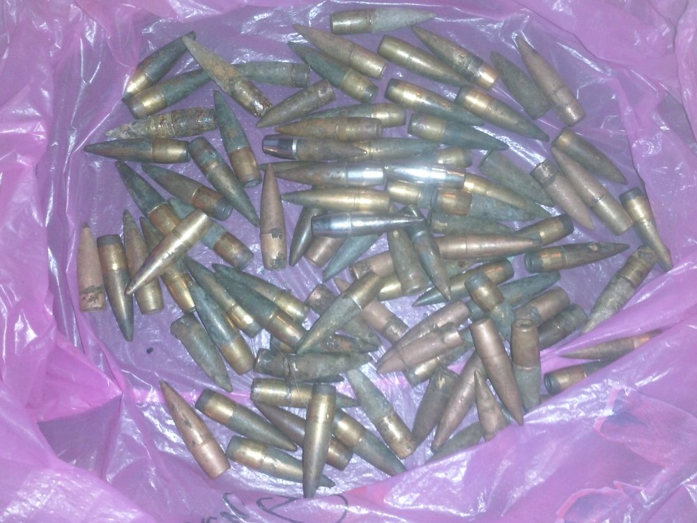 CAM00305.jpg