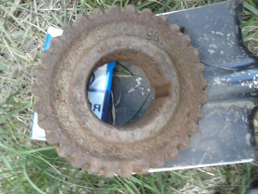 CAM00363.jpg