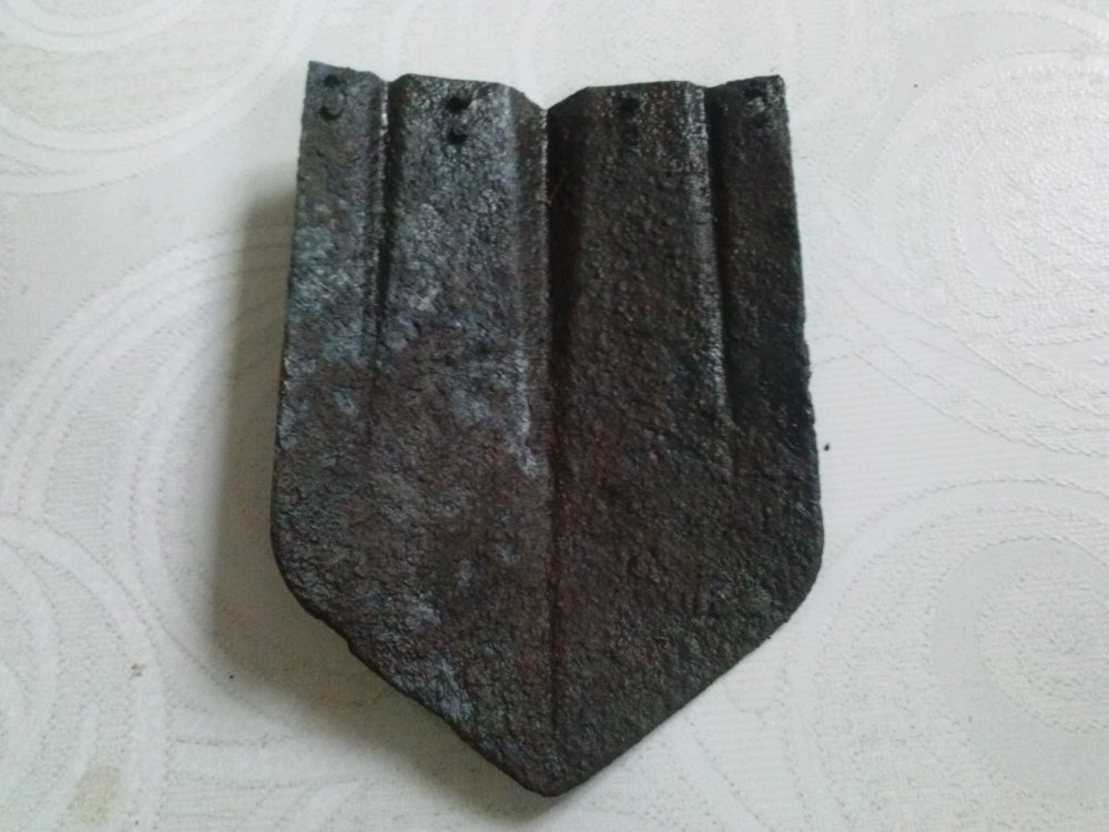 CAM00403.jpg