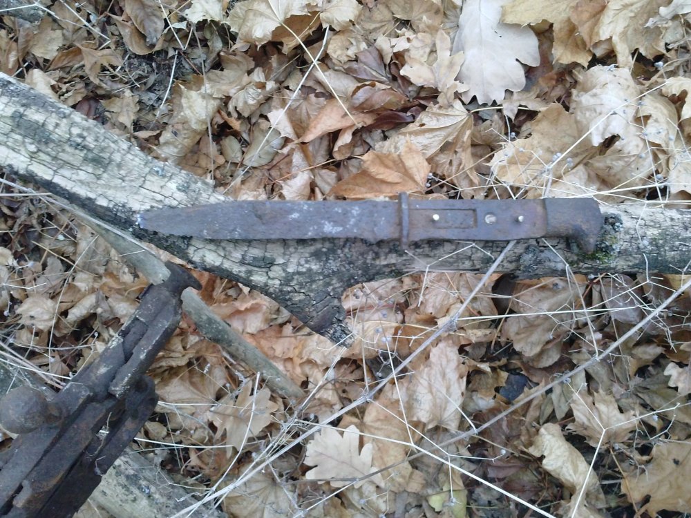 CAM00427.jpg