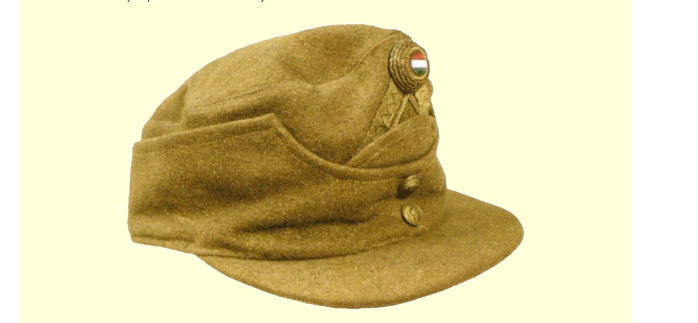cap.png