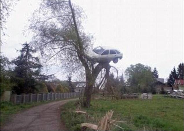 car-on-top-of-tree-02.jpg