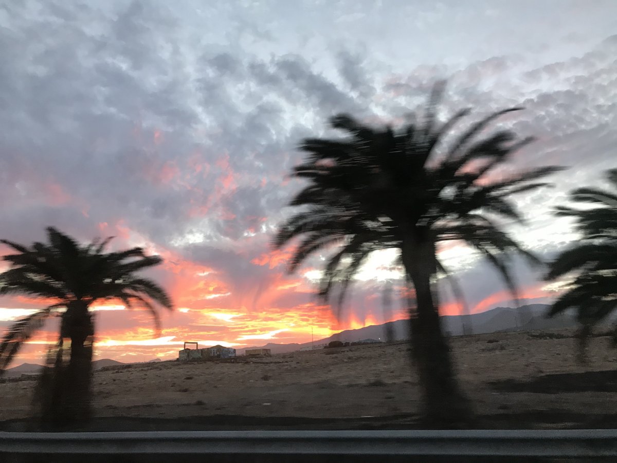 CC3DB2D3-9751-46F4-9679-4ACF276A3C16.jpeg