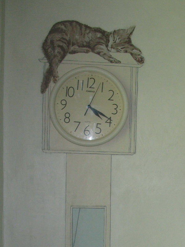 cc7_0.jpg