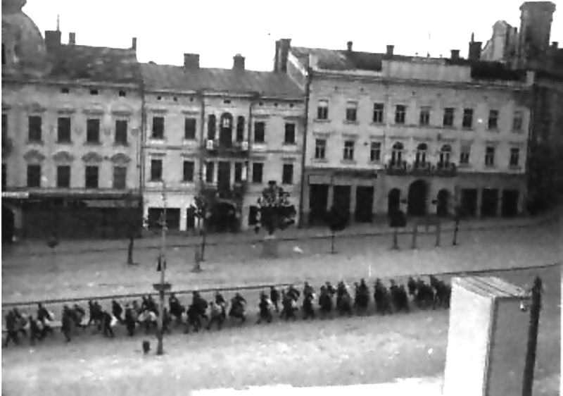 центр2.jpg