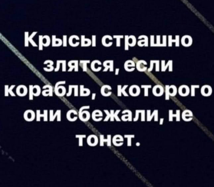 CF30F35B-F3DF-4B84-8A19-F47324438C6A.jpeg