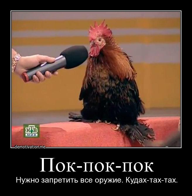 cfompjw62u60.jpg