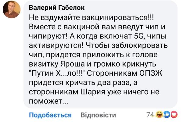 чипирование.jpg