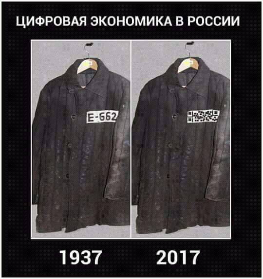 циф.jpg