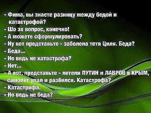 циляч.jpg