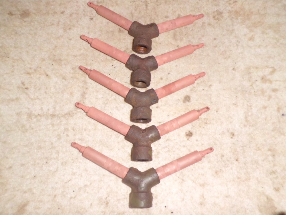 CIMG0410.JPG