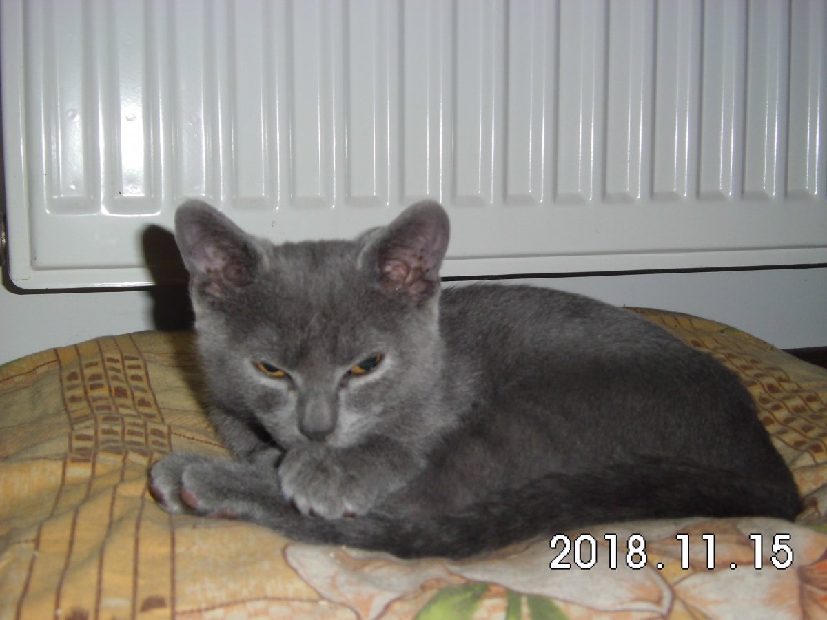 CIMG0440.JPG