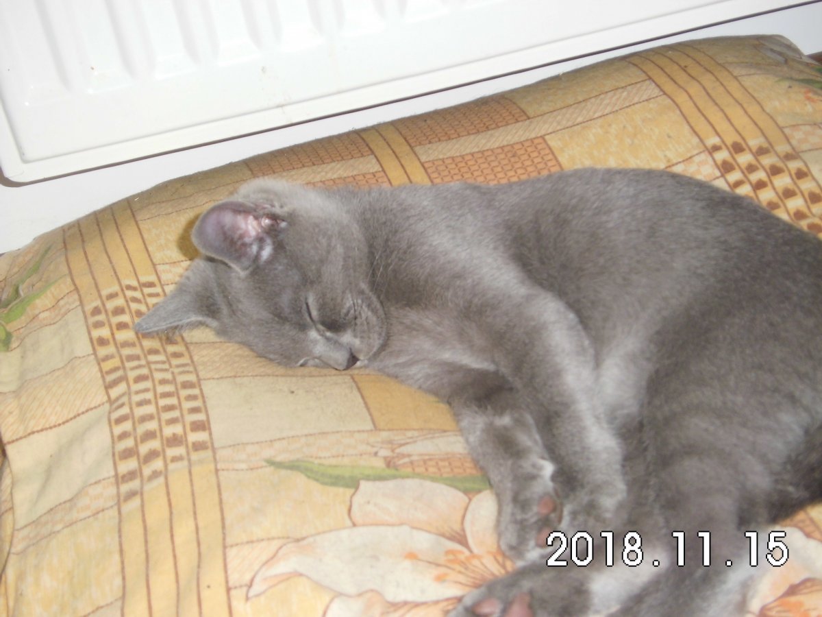 CIMG0444.JPG