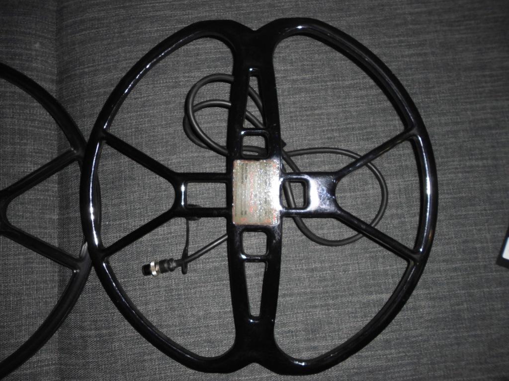 CIMG6111.JPG
