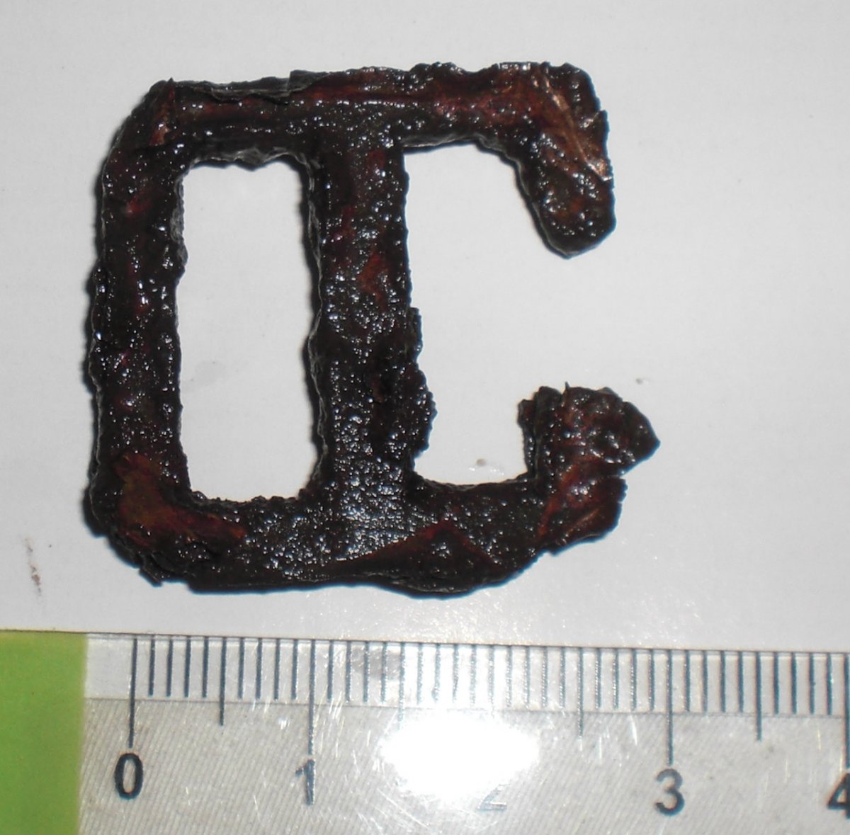 CIMG6120.jpg