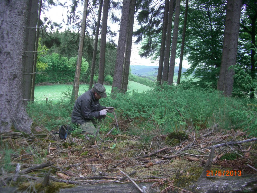 CIMG8217.JPG