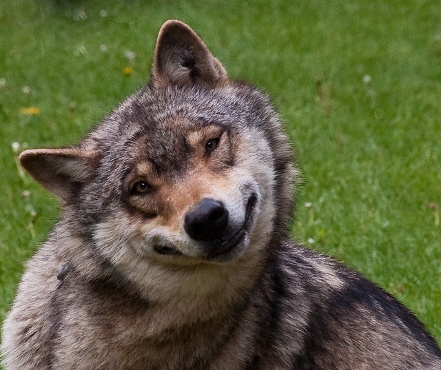 ClmbMsXUYAEcAt-.jpg