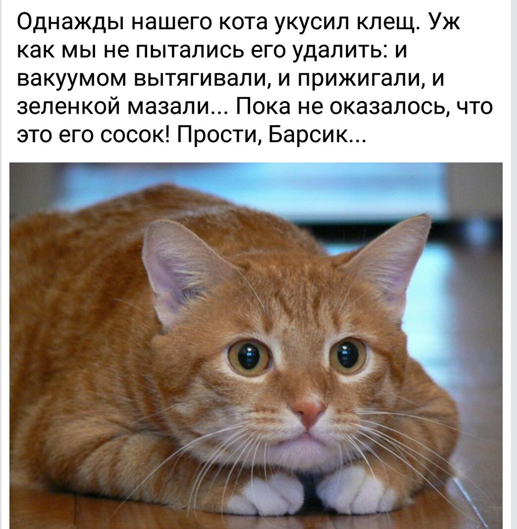 CU9lB3WU4AQq1L6.jpg
