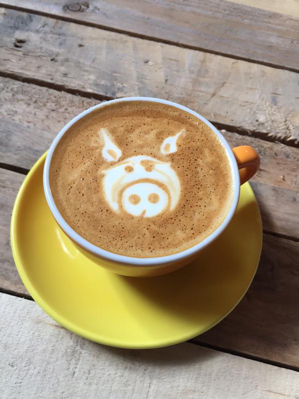 cult-coffee-pig.jpg