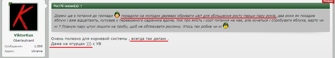 цветы.png