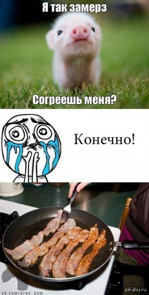 D-tt_JILYm0.jpg