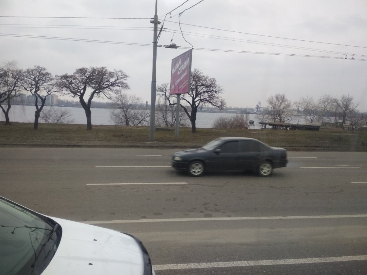д1.jpg