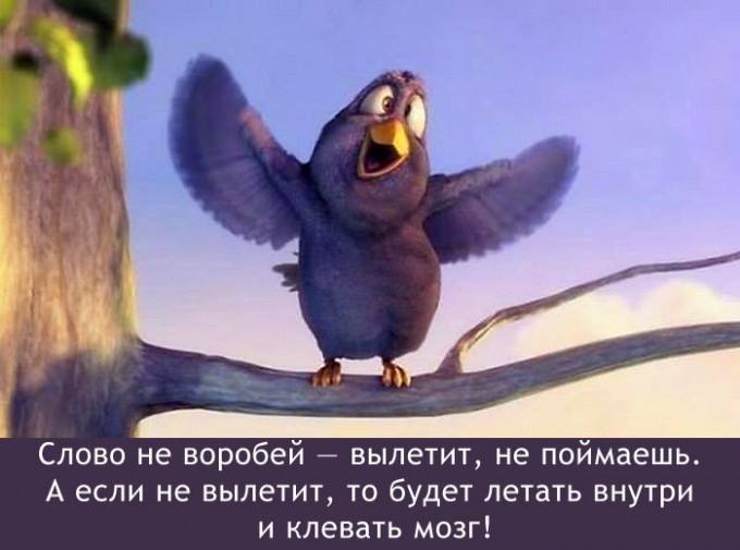 d2e8c157bea674f769ffccdb1a551cac-slovo-ne_vorobey.gallery.jpg