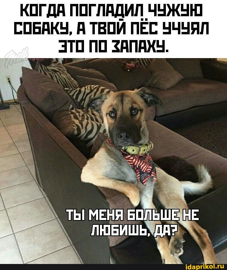 d2f0d30f2d59cdfe04422cf4e5f4ce95b1f92a63010e3ac249e5679e49d4533b_1.jpg