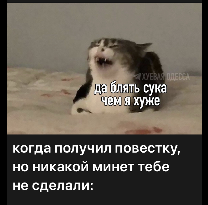 D3B18D1D-0225-493A-9909-8B197998D2A6.jpeg
