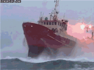D54BC37C-4460-4E03-97B3-CD9A71C96F79.gif