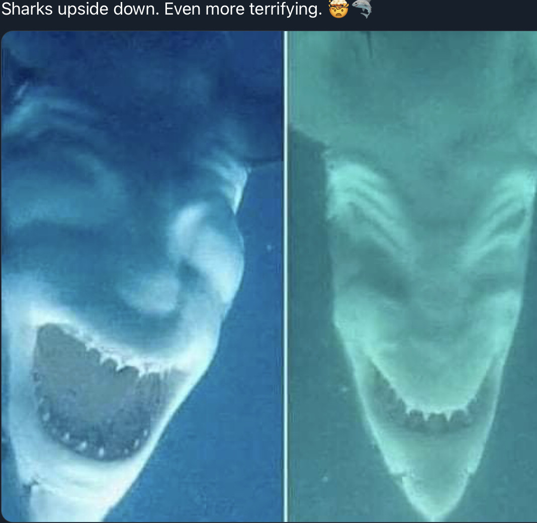 d5rFxZHmUBWhCIR4JXm2_21_9892953439c6bc21215d39d20f250616_image_original.jpg