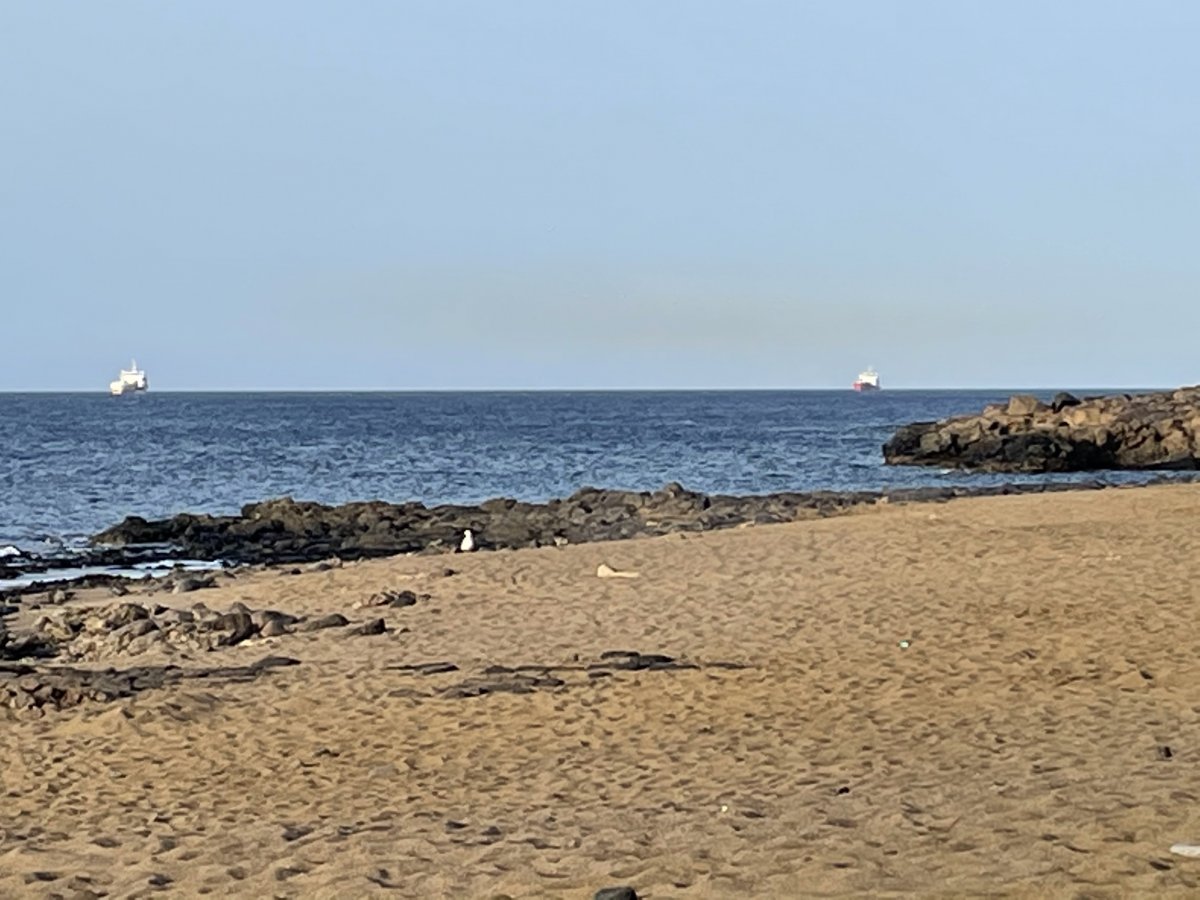 D722BD0B-29E9-4427-8E51-7B0234BA1C98.jpeg