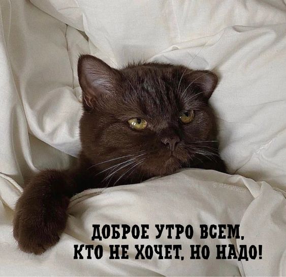 d76b4bdfa68c4a80579dce2d3779efb6.jpg