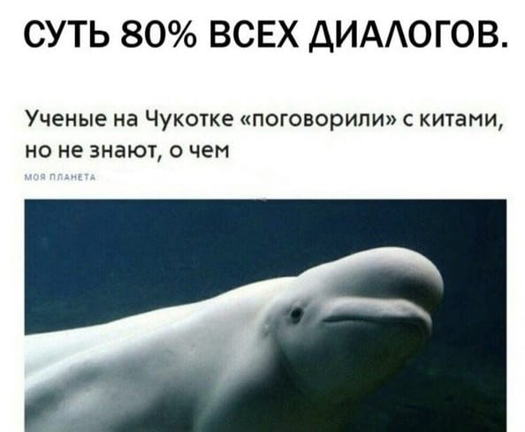 D7_Lji6WwAAzVqH.jpg