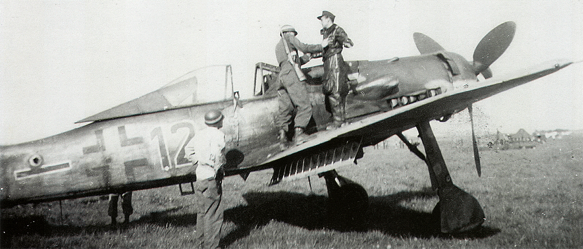 D9-5.JG6.jpg