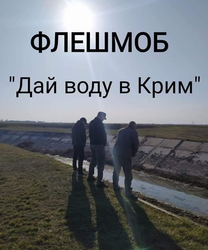 дай.jpg