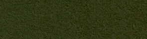 dark-olive.jpg