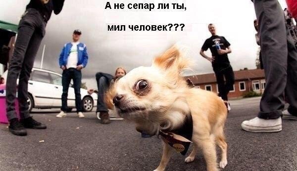 DCC5ju4W0AImn3B.jpeg