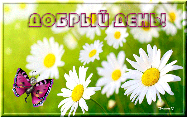 дд.gif