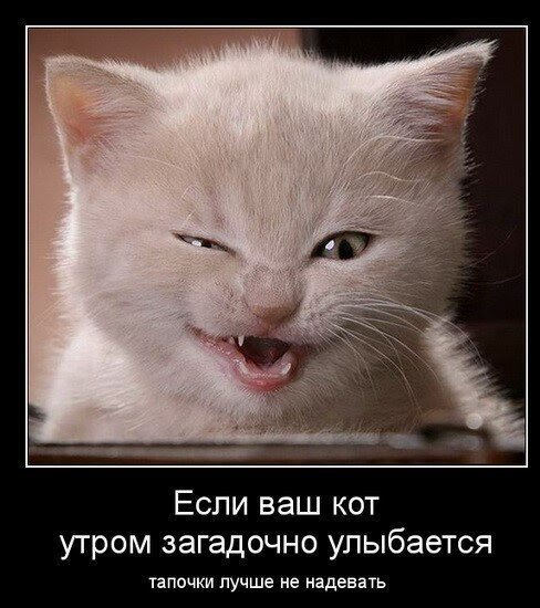 demotivator-1.jpg