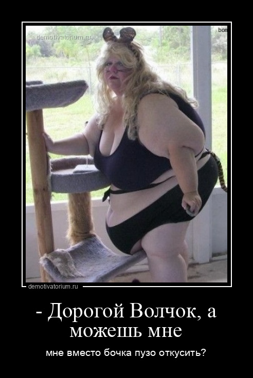 demotivatorium_ru__dorogoj_volchok_a_mojesh_mne_200326.jpg