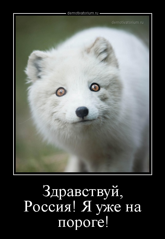 demotivatorium_ru_zdravstvuj_rossija_ja_uje_na_poroge.jpg