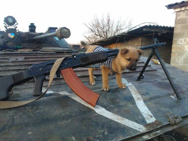 десантура.jpg