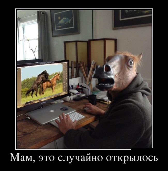 df6a9cc4c1002cf4b900e1ebe314ca31.jpg